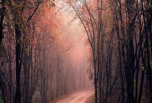 雷火电竞官网-神锋破阵！C罗以一敌众上演中超封神之战