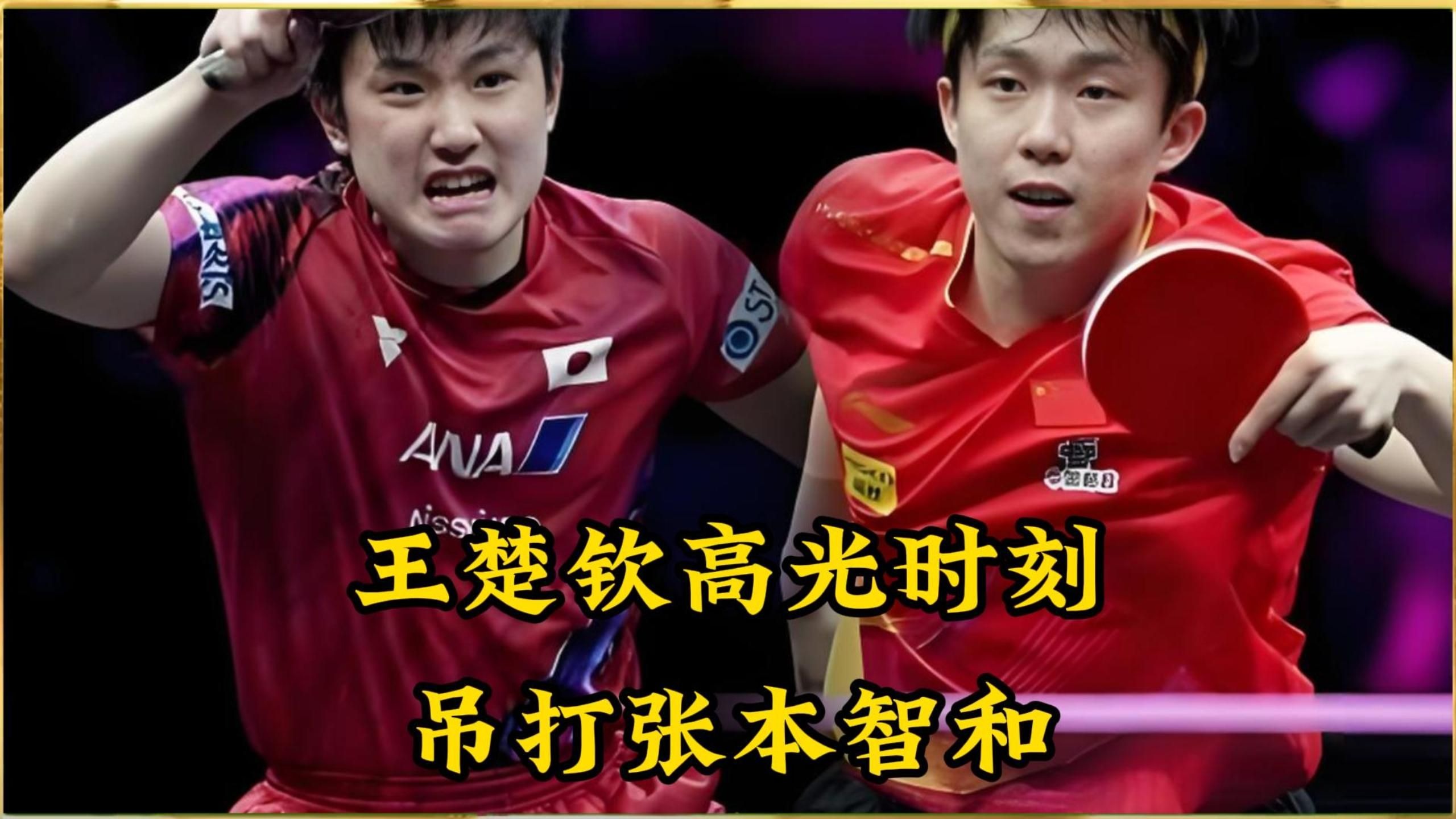 雷火电竞网站-中国队碾压波兰队，张本智和高光表现