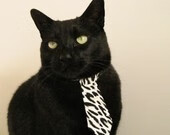 西亚卡姆碾压式存在感,辽宁队如何用一笔交易终结与广东的十年缠斗?