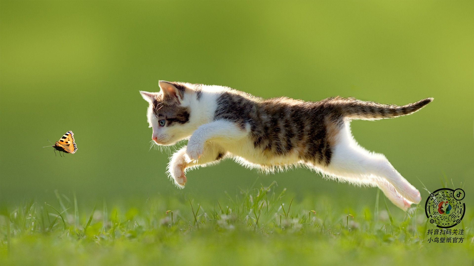 铁壁防守与孤胆英雄,山西队锁死爵士的战术解析与利拉德季后赛接管时刻