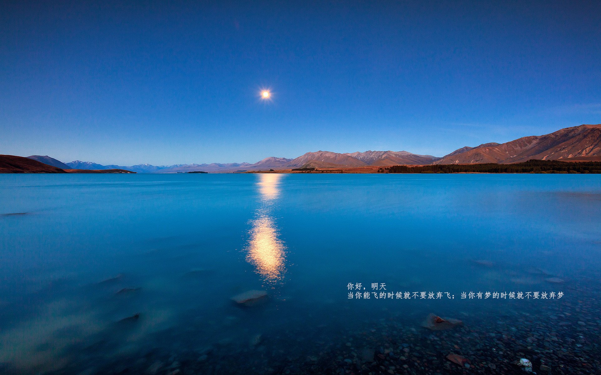 唯一的关键先生，加维引领阿尔及利亚拿下突尼斯