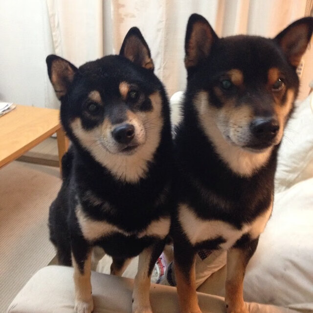 雷火电竞app-欧冠之夜的双面镜，库尔图瓦封神，矿工颠覆巴萨