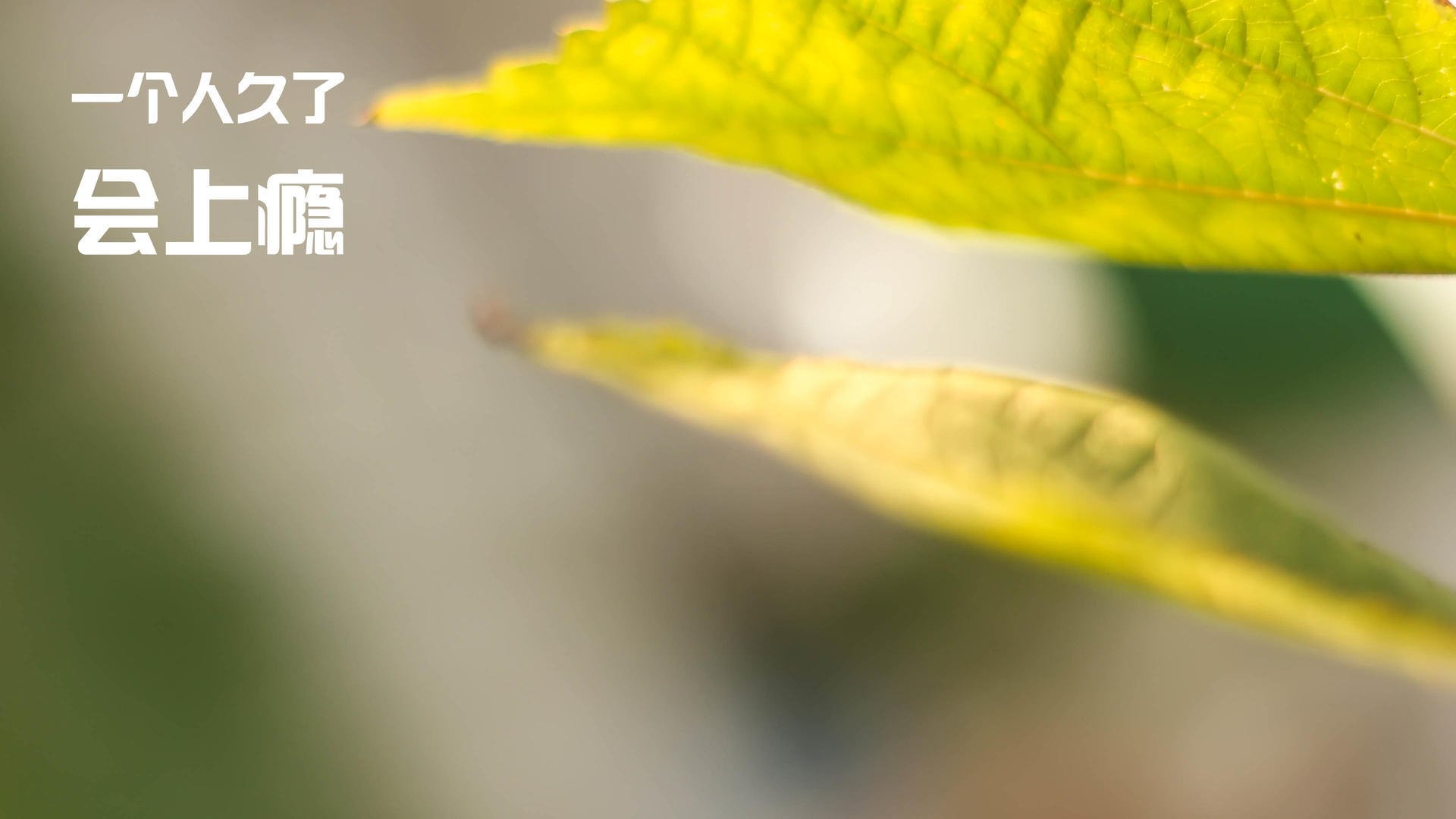 世界排名争夺战惊现原子裂变！比利时天团连续得分风暴彻底压制皇马银河战舰