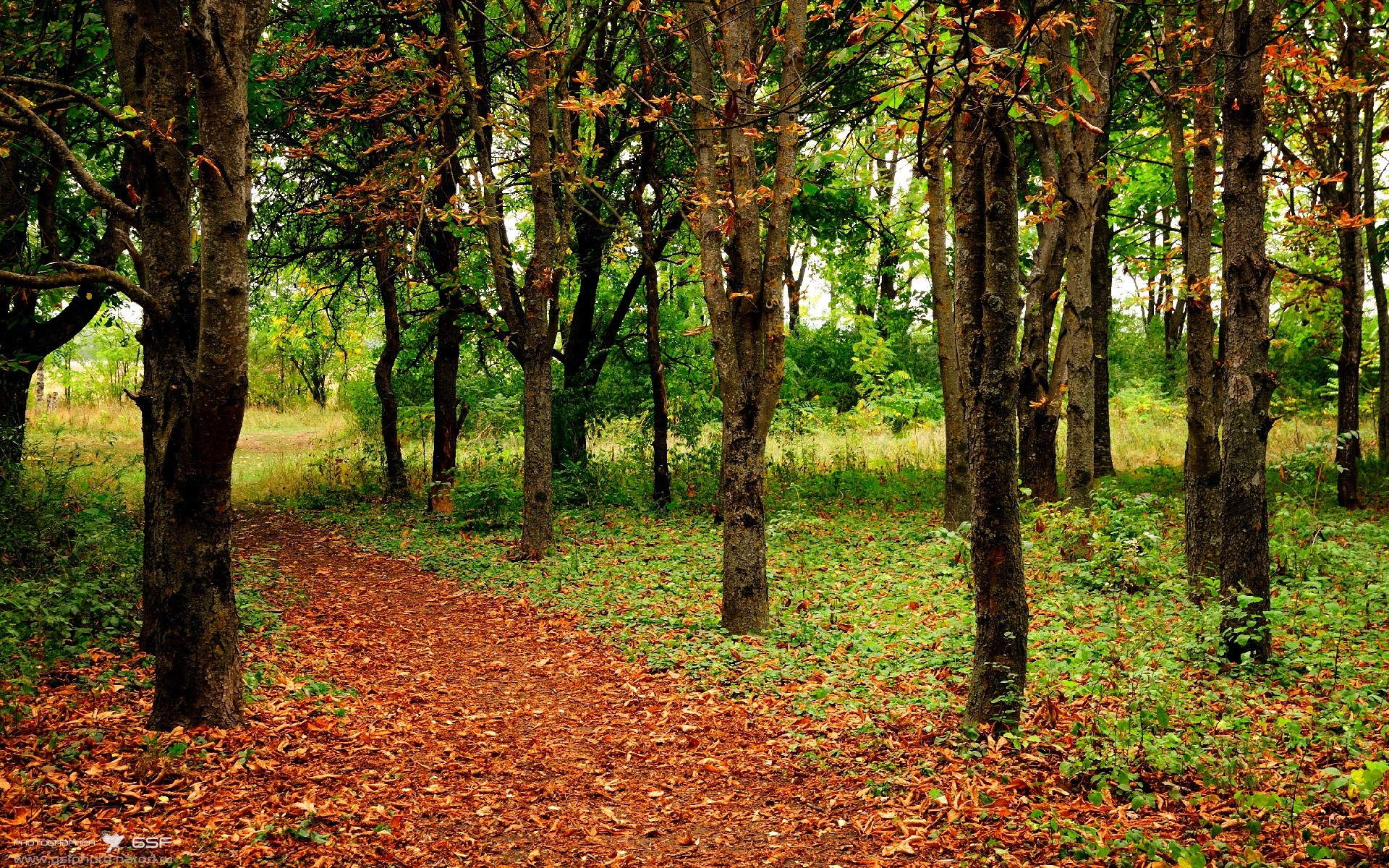 破壁者阿坎吉，一记直塞洞穿旧王，铸就蓝黑军团新墙