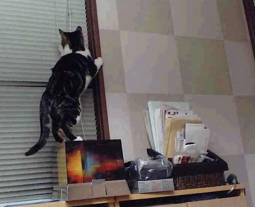 教科书式一击,基耶萨在英超争冠夜的华丽注脚