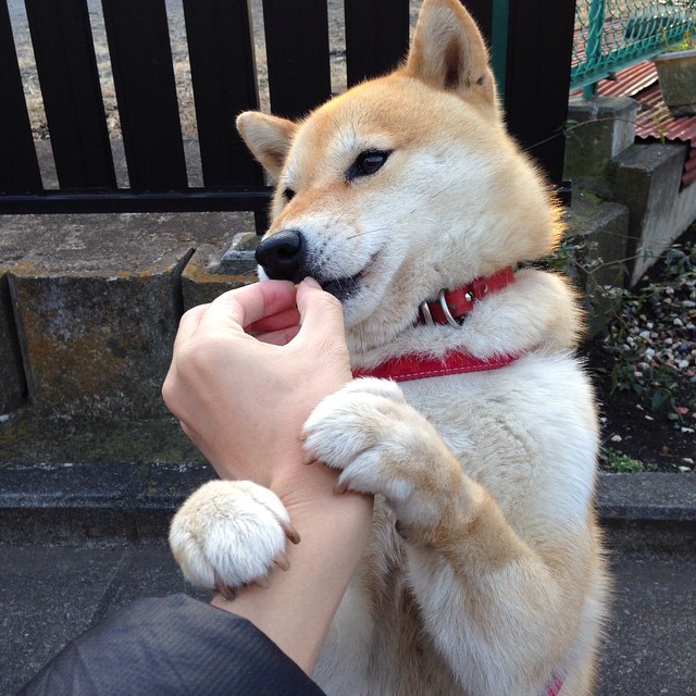 冷门与传奇，体育世界的唯一性双面镜