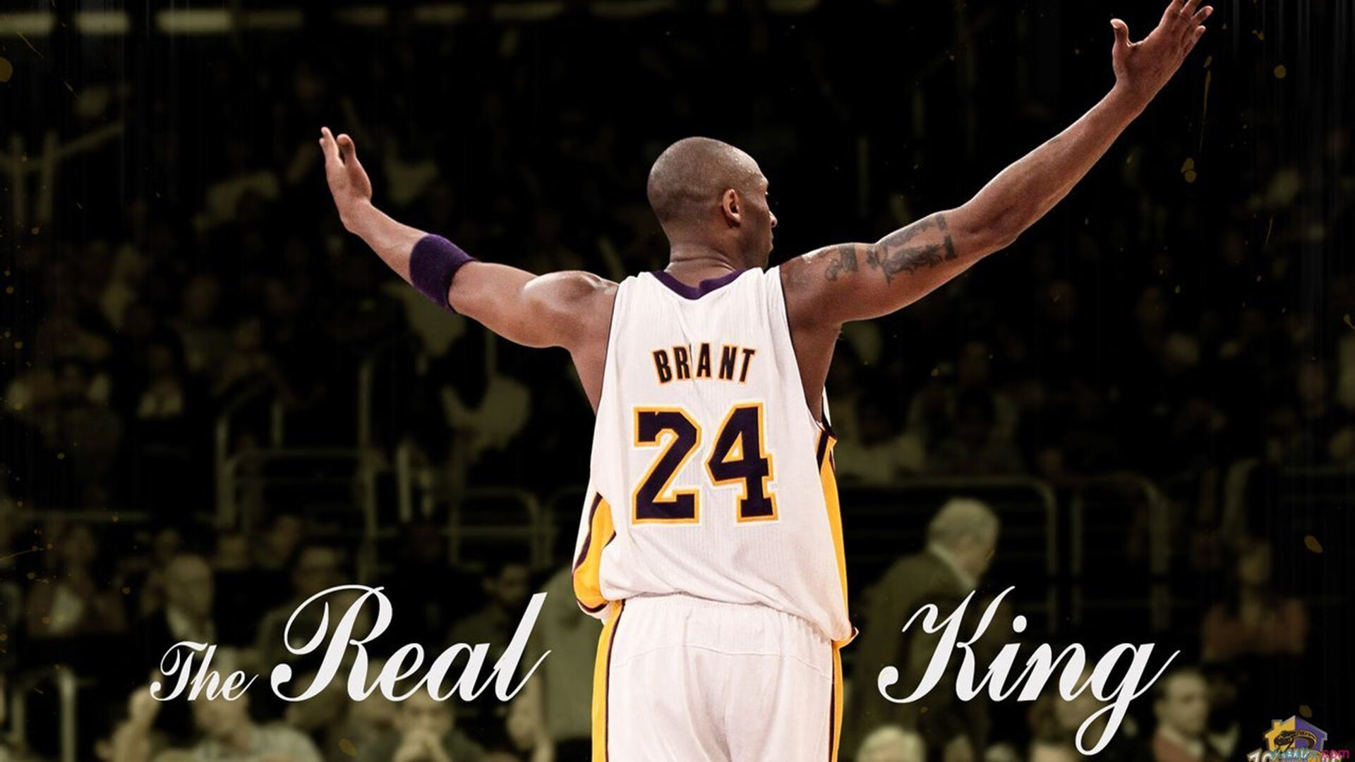 年度焦点之战，当沉默的尖刀在黑夜中出鞘—记德罗赞锁死对手的永恒瞬间