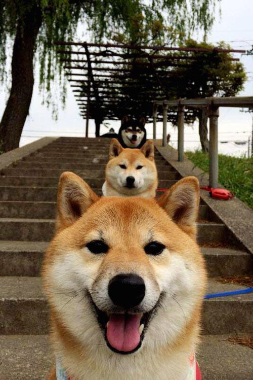 跨界震撼弹，厄瓜多尔轻取塞维利亚，布雷默在NBA季后赛接管比赛